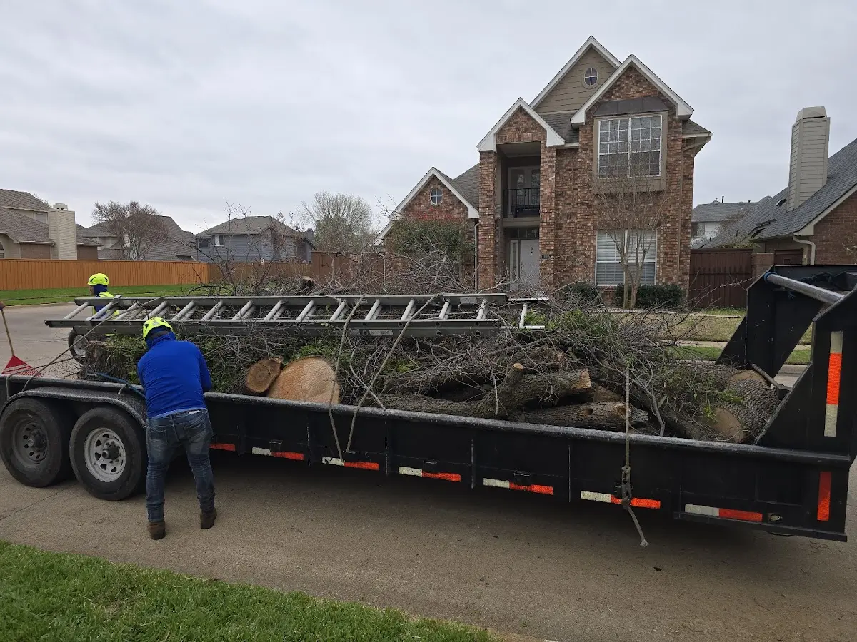 Expert Tree Pest Control with proper safety equipment in Sumrall